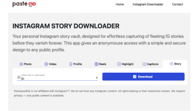 how-to-save-instagram-stories-smart-with-pasteyourlink