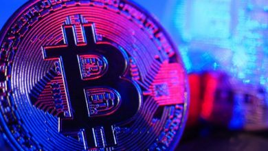 cryptonewsfeeds-officially-launches-as-a-bilingual-and-unbiased-hub-for-crypto-news-and-insights
